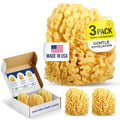 Baby Buddy Natural Yellow Sea Sponge for Baby Bathing
