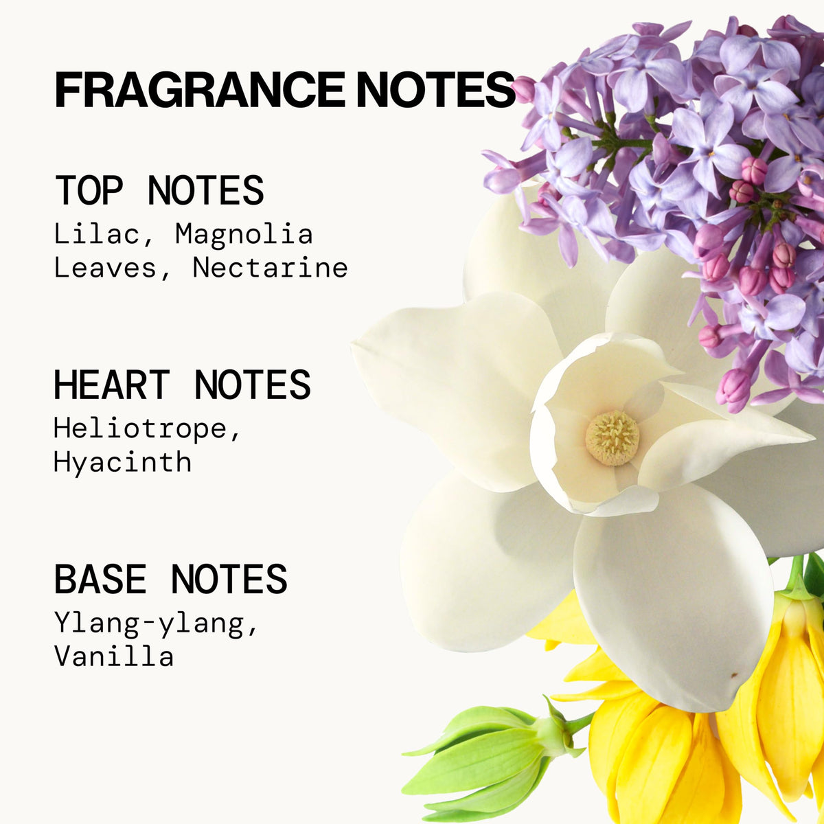 Pacifica Perfume Fragrance