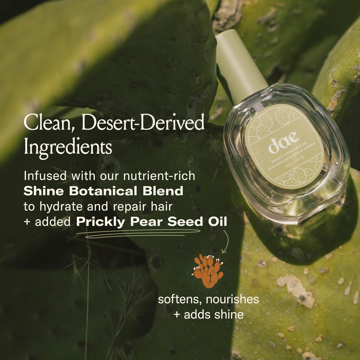 DAE Prickly Pear Hair Oil for Frizz, Damage & Shine