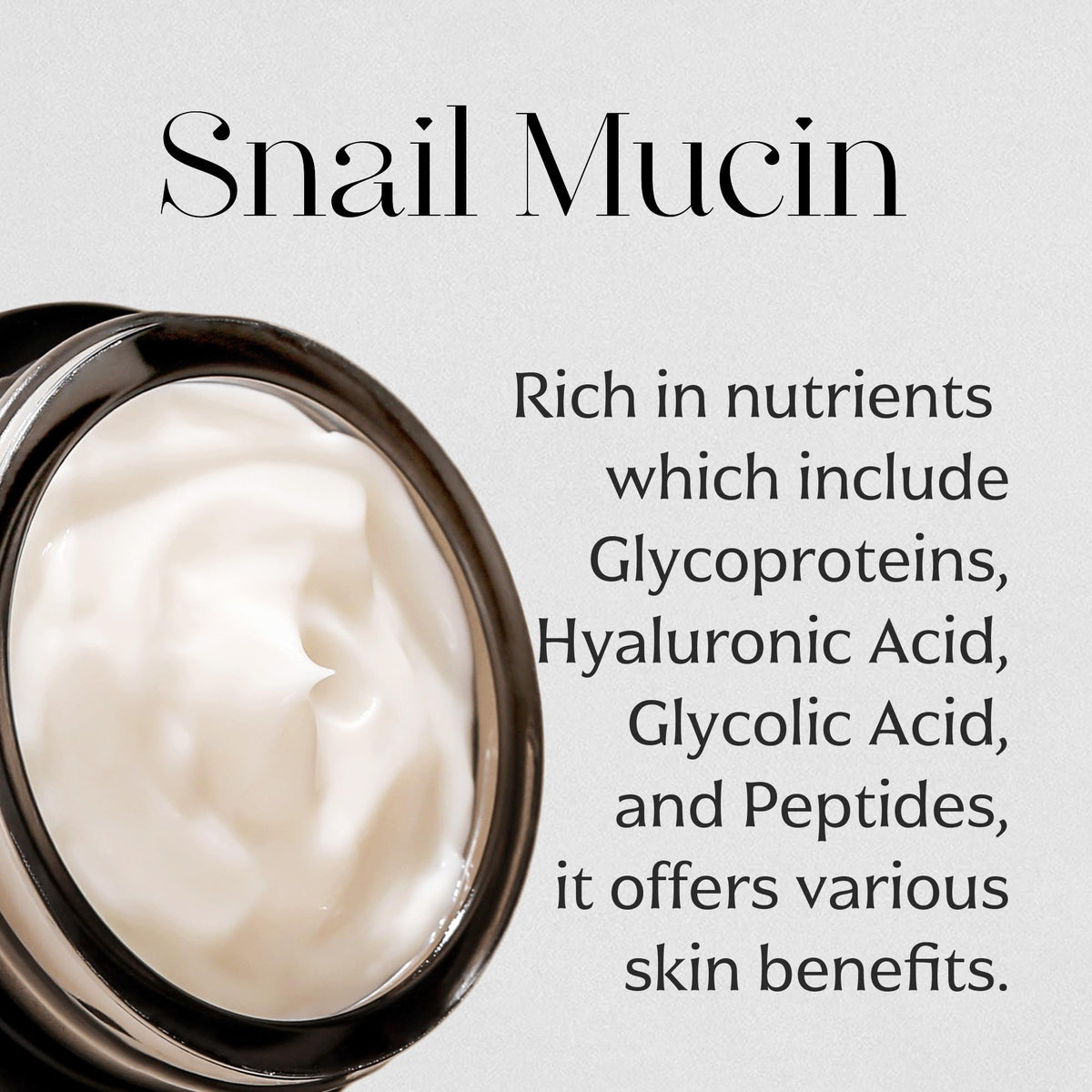 MIZON Black Snail All-in-One Facial Moisturizer Cream