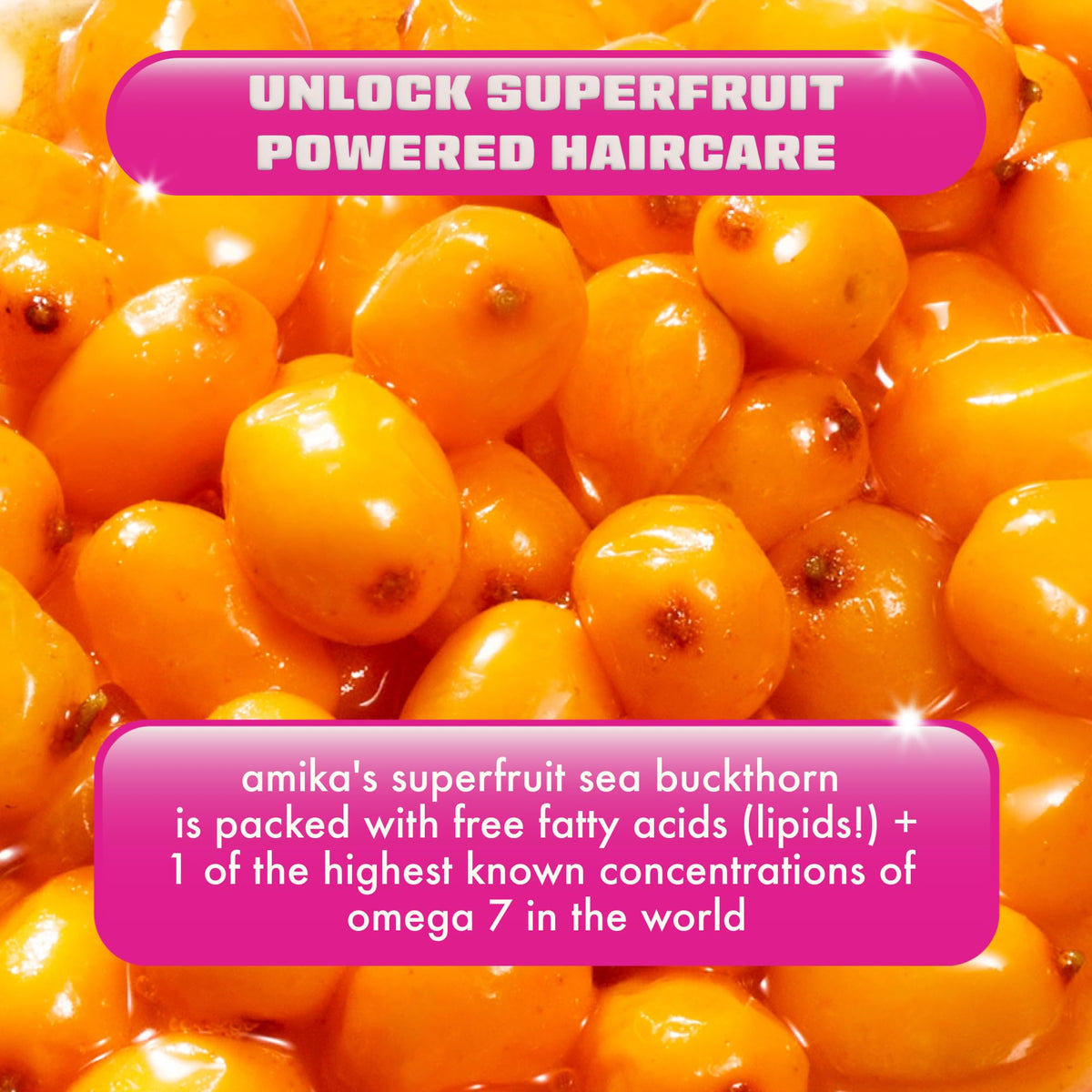 amika Perk Up Dry Shampoo Trial Set