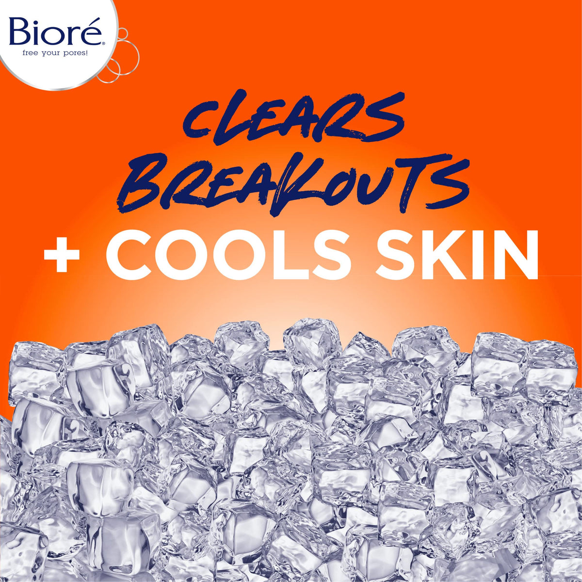 Biore Blemish Fighting Ice Cleanser with Salicylic Acid