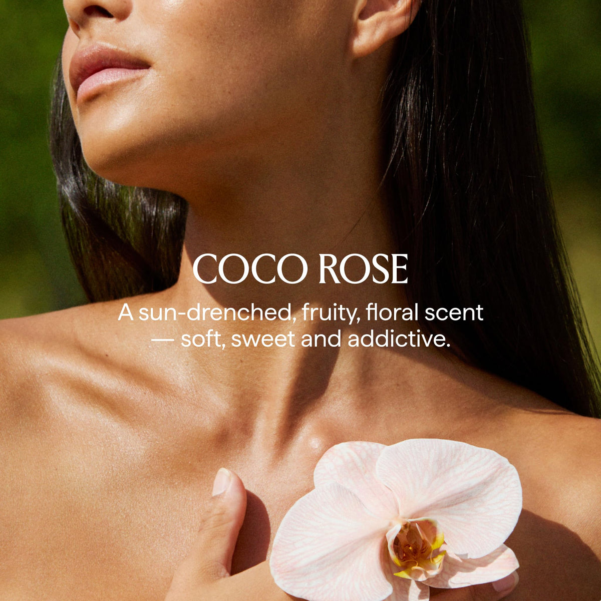 HERBIVORE Coco Rose Body Scrub, Exfoliating Coconut & Shea, 8 oz