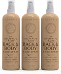 Ayadara 2% Salicylic Acid Acne Body Spray, Back & Body Acne, 3-Pack