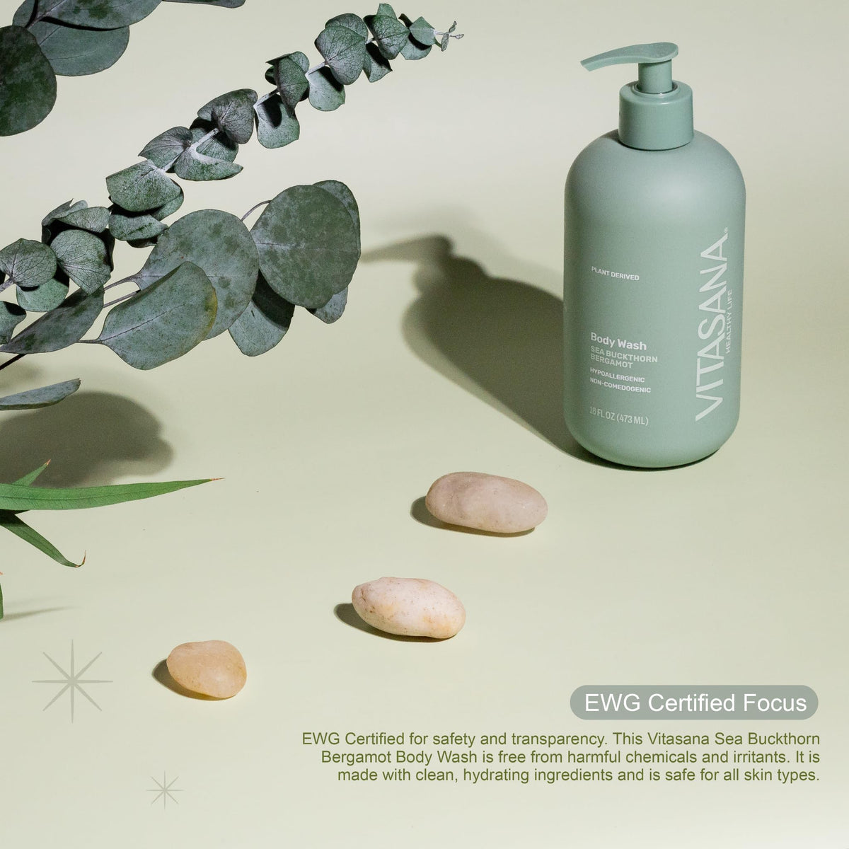 Plant-Derived Body Wash for Sensitive Skin, 16 oz