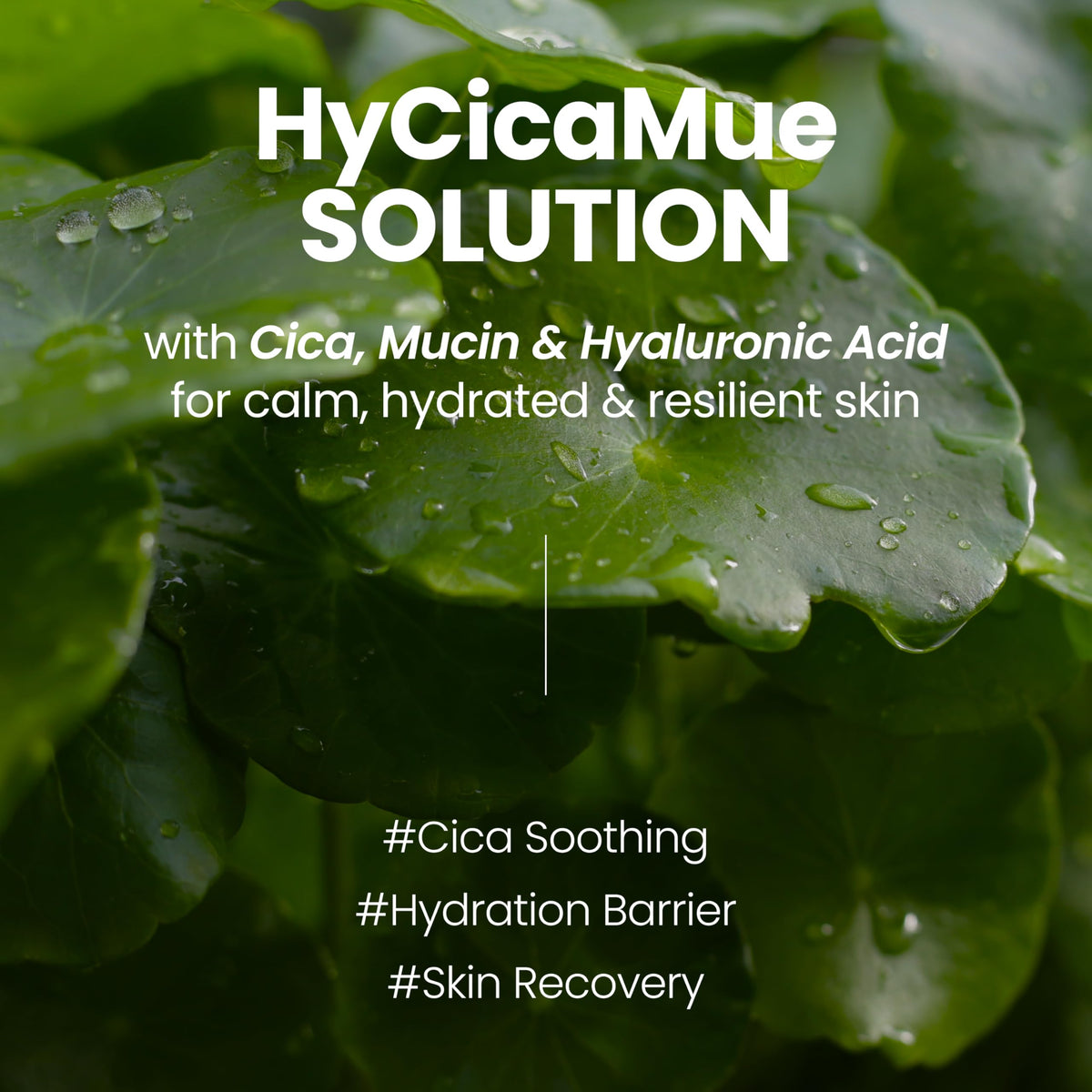 HyCicaMue Skincare