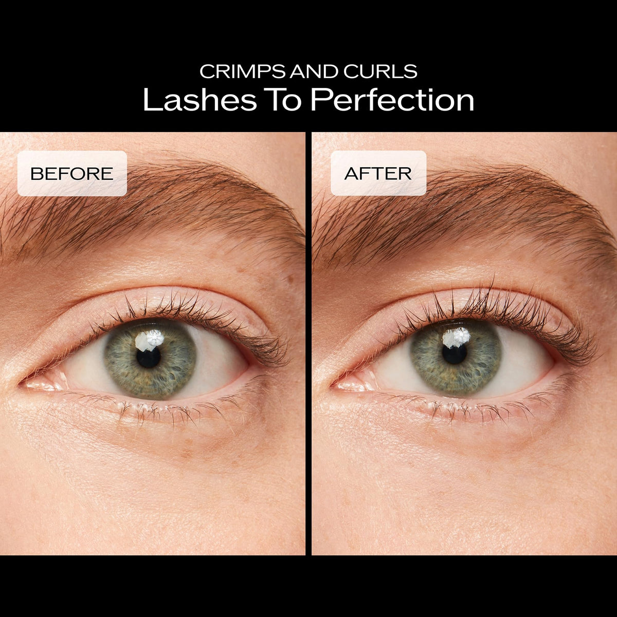 Shiseido Eyelash Curler with Replacement Pad