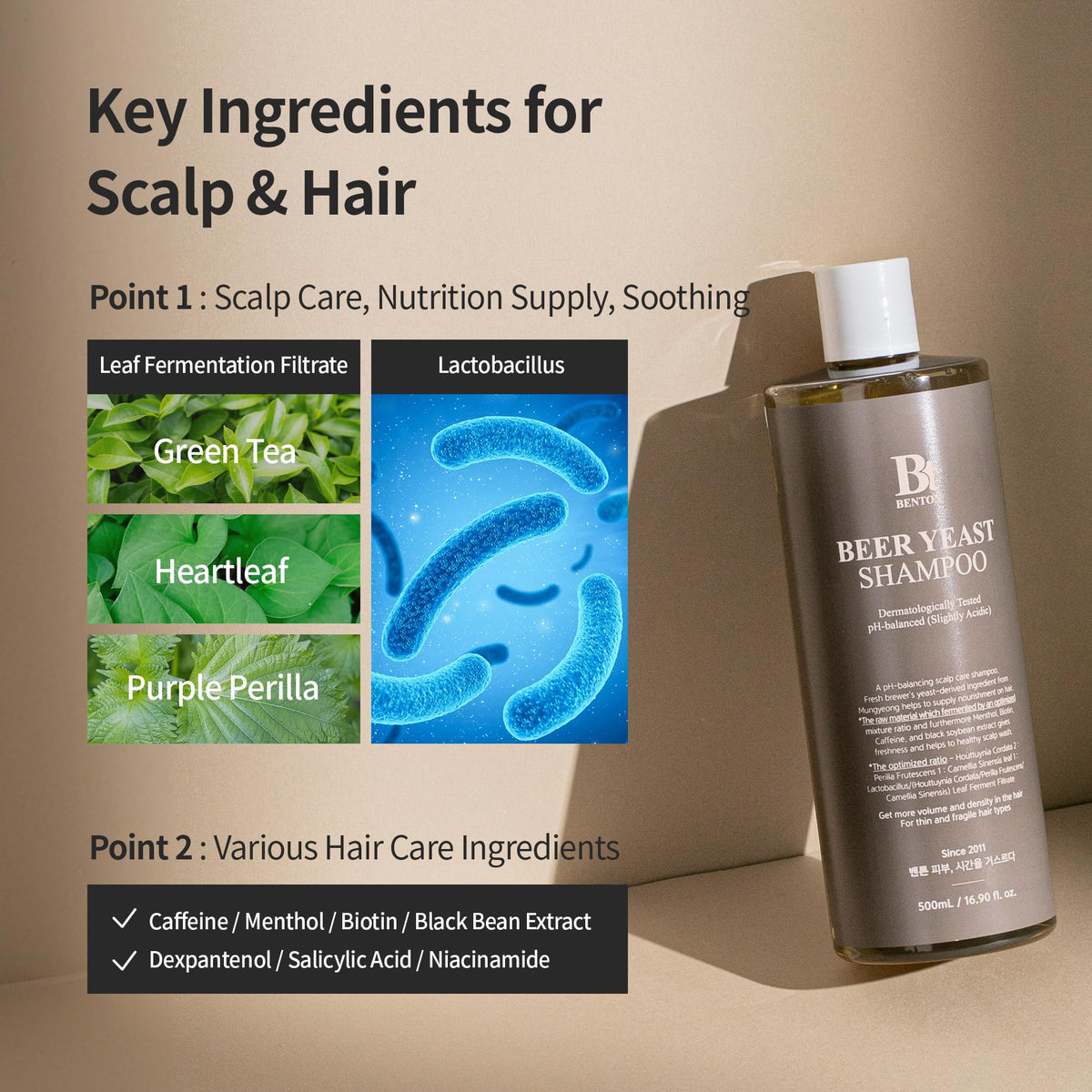 BENTON Beer Yeast Shampoo 16 fl oz – Fermented Scalp & Hair Care