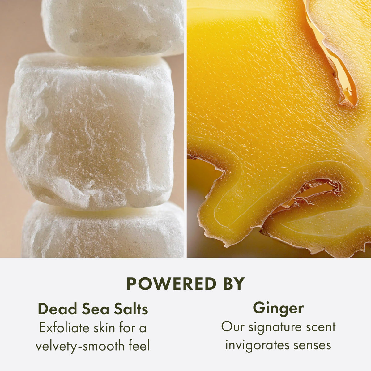 Origins Ginger Smoothing Body Scrub with Dead Sea Salts