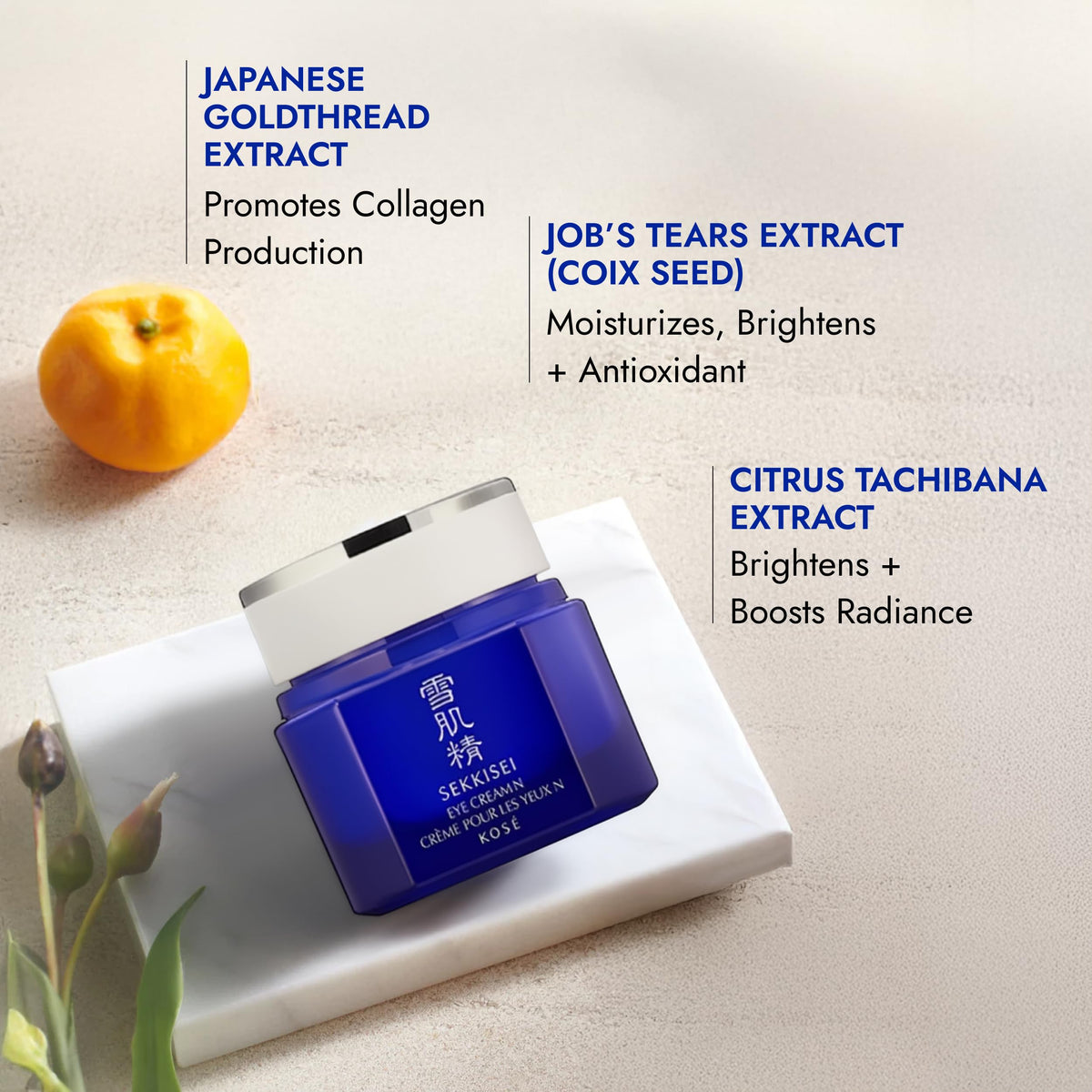SEKKISEI Ceramide and Collagen Boosting Moisturizing Eye Cream