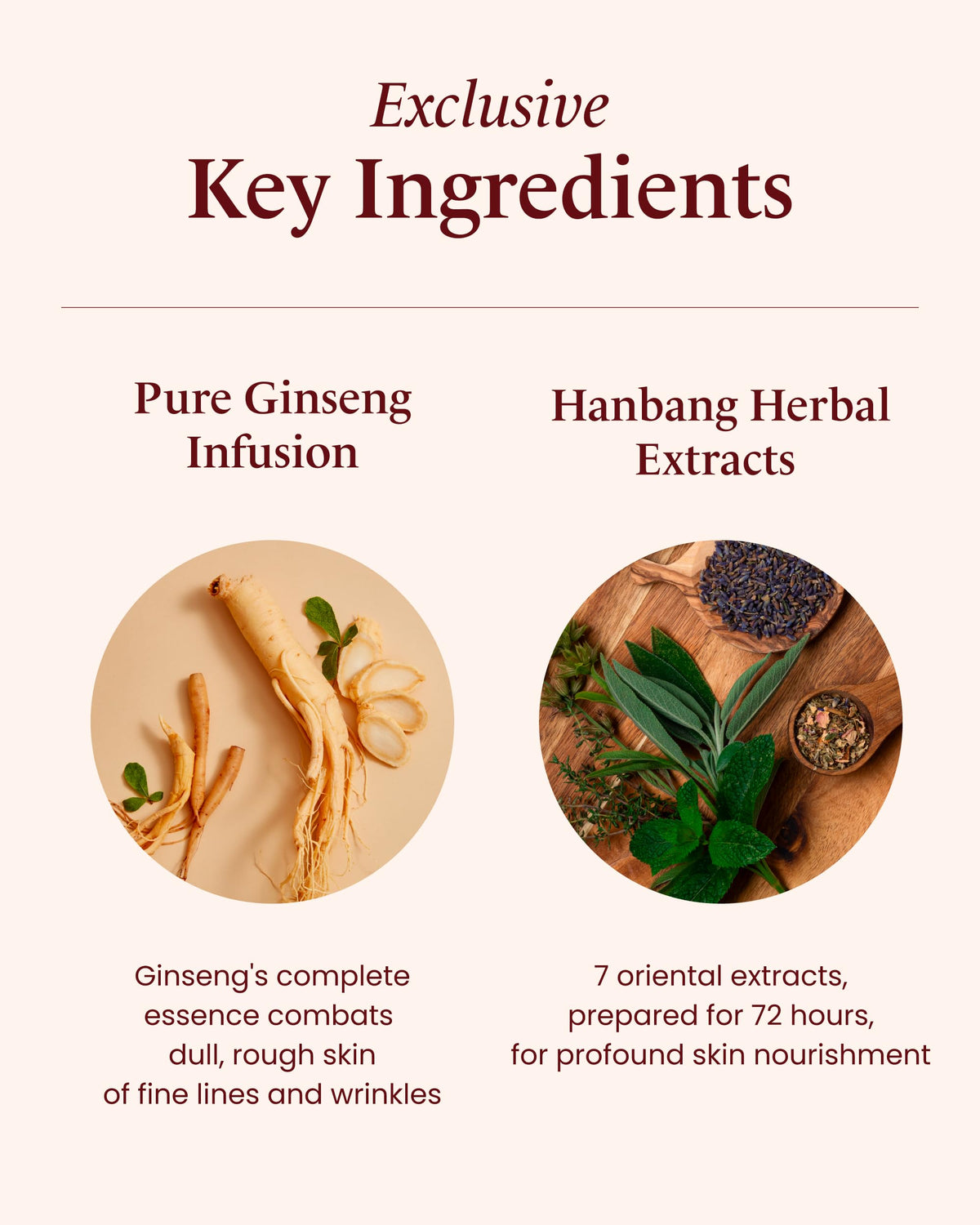 Sooryehan Bichaek True-Rejuvenating Korean Hanbang Skincare Gift Set